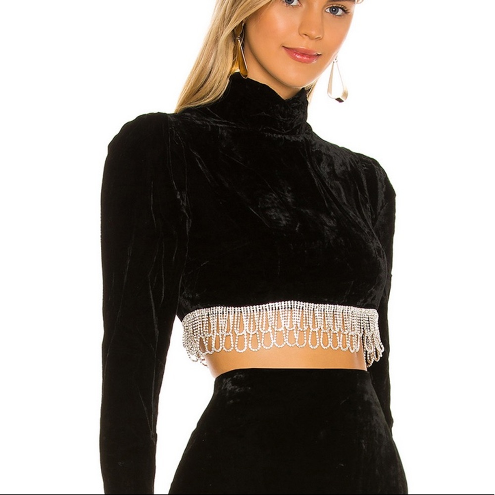 Camilla Coehlo Velvet Crystal Long Sleeve Crop Top